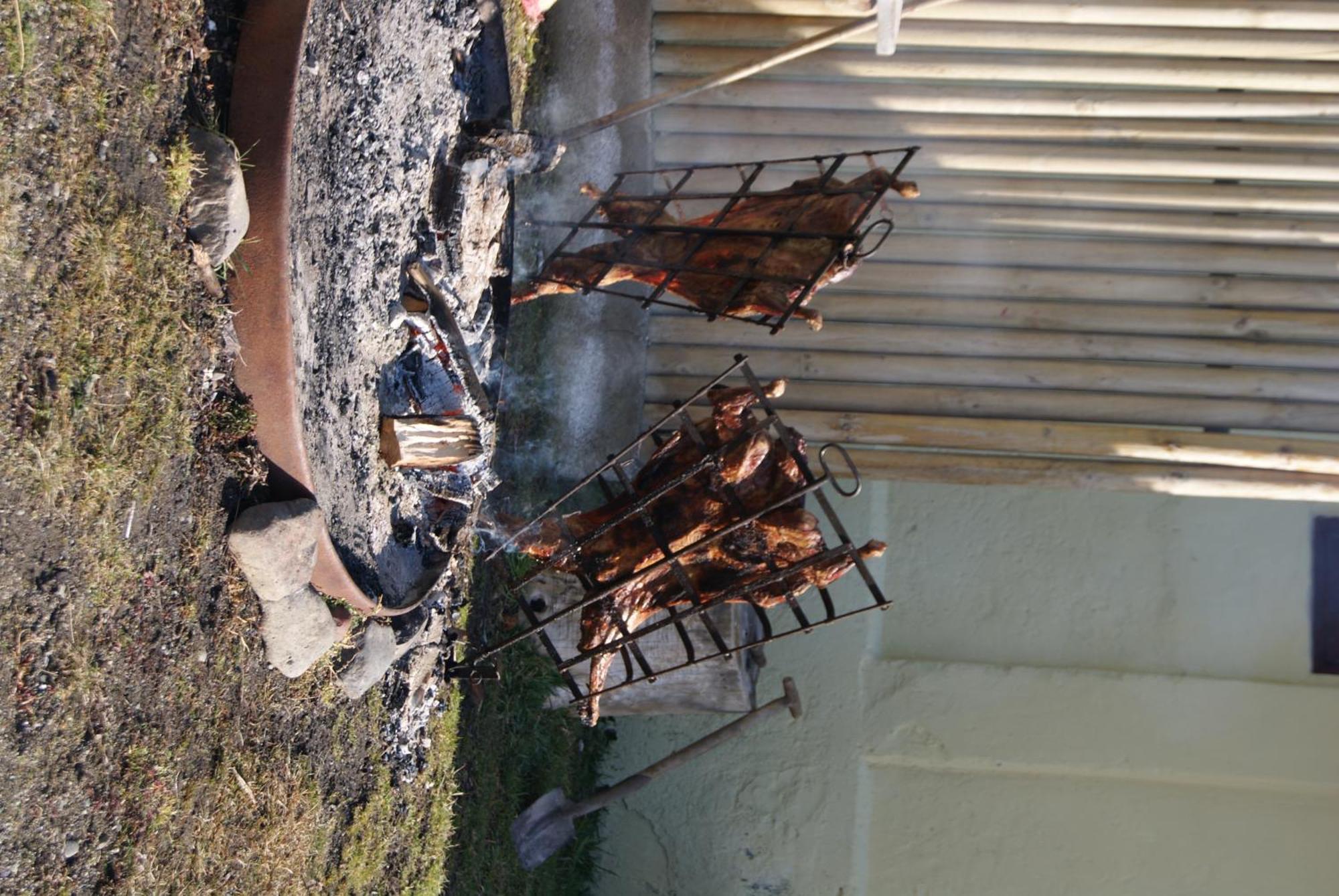 Estancia Rio De Los Ciervos Punta Arenas Kültér fotó