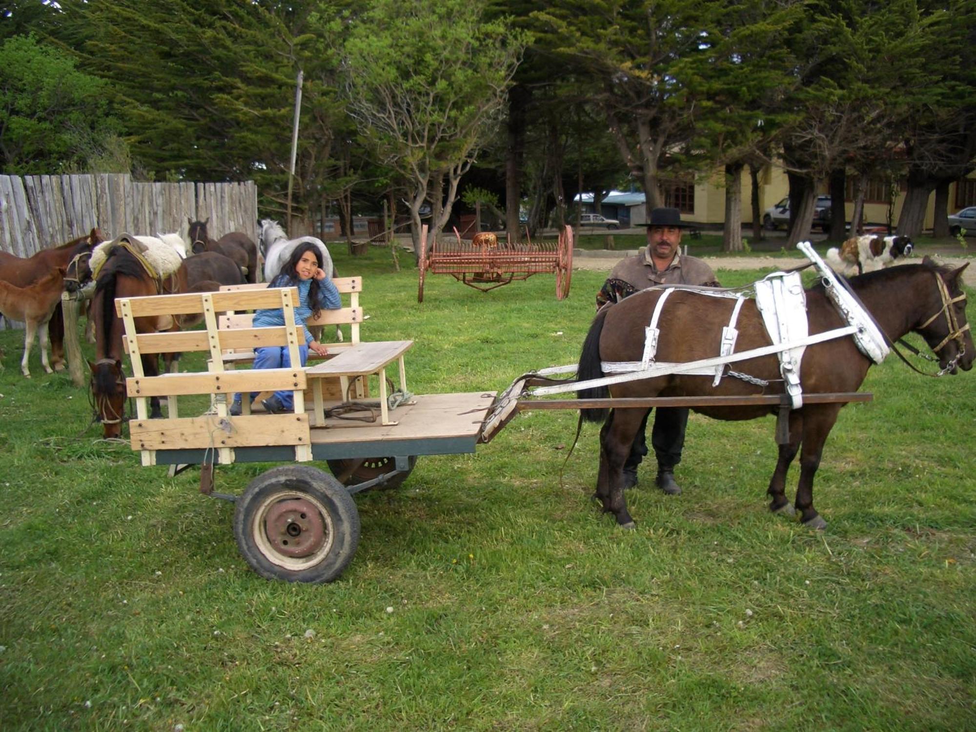 Estancia Rio De Los Ciervos Punta Arenas Kültér fotó