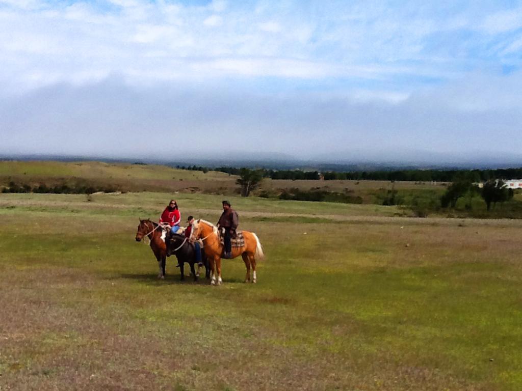 Estancia Rio De Los Ciervos Punta Arenas Kültér fotó
